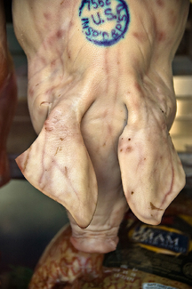 ham Color Awards Winners and Nominees