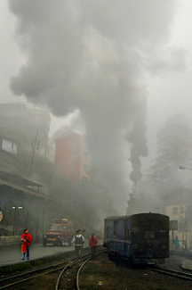 Save Our World Color Awards Winners and Nominees