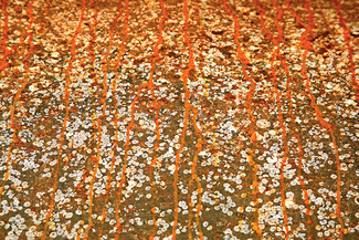 Rust in Bloom 9 Color Awards Winners and Nominees