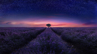 Eternal Color Awards Winners and Nominees