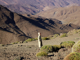 Braheim Color Awards Winners and Nominees