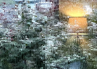 Rainy Day Reflections Color Awards Winners and Nominees
