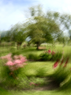 Alice In Wonderland Color Awards Winners and Nominees