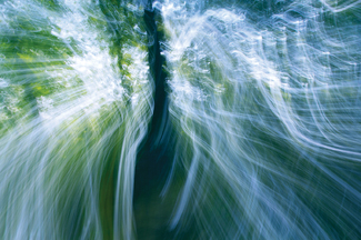 Light in Trees Color Awards Winners and Nominees