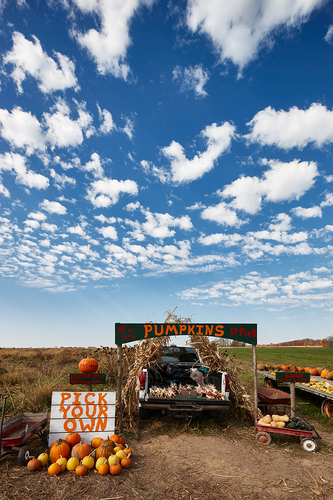 Pick Your Own Pick Your Own