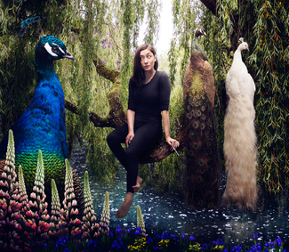 Peacock Color Awards Winners and Nominees