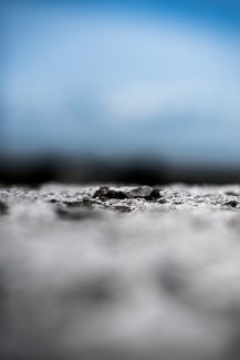 Walls will not stop people Color Awards Winners and Nominees