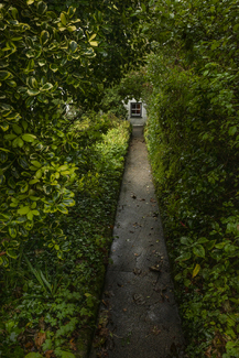 Cottage Walk way Cornwall, England Color Awards Winners and Nominees