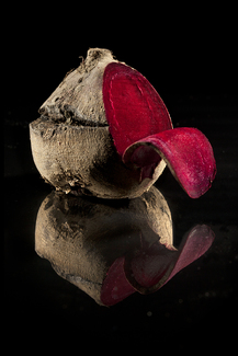 Peel Me (3) Color Awards Winners and Nominees