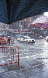 Brooklyn Rain Color Awards Winners and Nominees