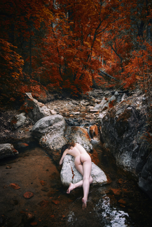 Autumnal Recumbence Color Awards Winners and Nominees