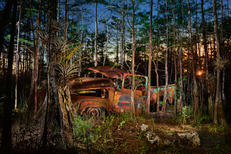 Ford V8 in the cypress Color Awards Winners and Nominees