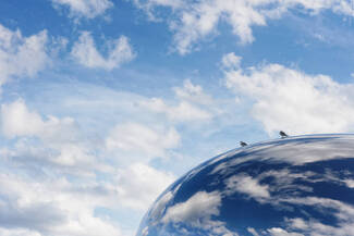 Birds on the Bean Color Awards Winners and Nominees