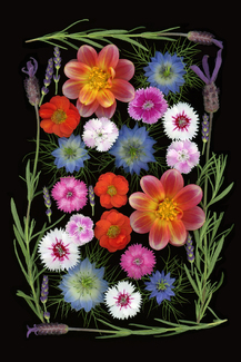 Floral Art Color Awards Winners and Nominees