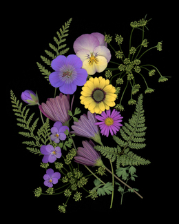 Garden Bouquet Color Awards Winners and Nominees