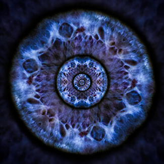 HypnotEYEze Color Awards Winners and Nominees