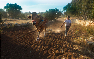 Browsing the Field  Color Awards Winners and Nominees