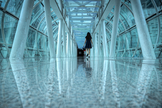 Safe Passage Color Awards Winners and Nominees