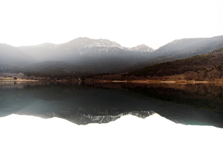 Colorless Winter Color Awards Winners and Nominees