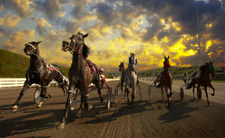 Backstretch Color Awards Winners and Nominees