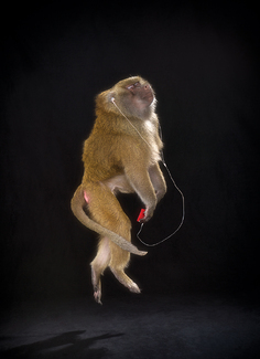 Groovin High Color Awards Winners and Nominees