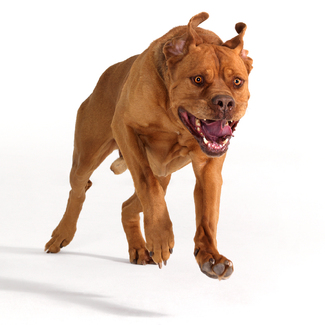 Giddy-Up! Color Awards Winners and Nominees