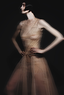 Dress in Motion Color Awards Winners and Nominees