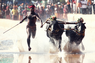 Usain Bolt of India!! Color Awards Winners and Nominees