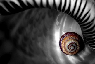 The Eye Color Awards Winners and Nominees