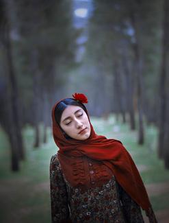 samin Color Awards Winners and Nominees