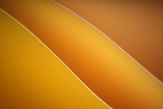 paper (3) Color Awards Winners and Nominees