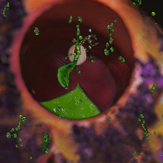 Acid Reflux & Lyrango Spasm ('Medical Mocks' Series) Color Awards Winners and Nominees