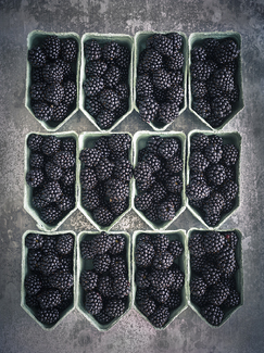 Blackberries Color Awards Winners and Nominees
