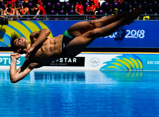 The diver Color Awards Winners and Nominees