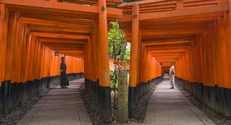 Kyoto Temple and Japanese Color Awards Winners and Nominees