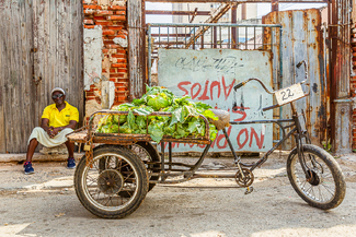 The lettuce vendor Color Awards Winners and Nominees