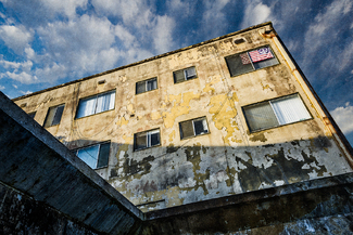 Peace Color Awards Winners and Nominees