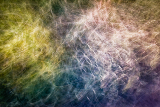 Daydream Fields Color Awards Winners and Nominees