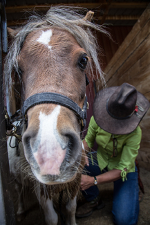 Dolly Color Awards Winners and Nominees