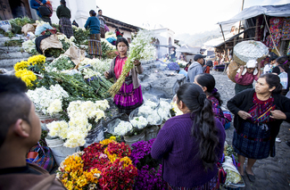 Flower Market Chichicastenango, Guatemala Color Awards Winners and Nominees