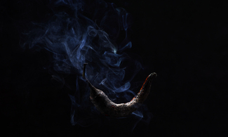 chilli Color Awards Winners and Nominees