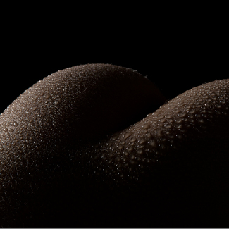 Water Color Awards Winners and Nominees