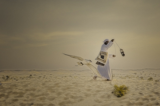 Falcon Training Color Awards Winners and Nominees