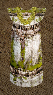 Daspit-K-TuTu's Muu Muu Color Awards Winners and Nominees