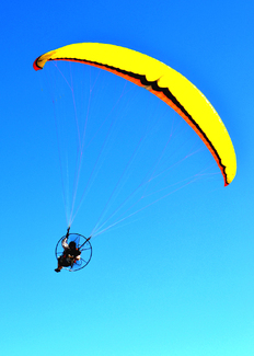 Up and Away... Color Awards Winners and Nominees