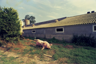 untouchable. Color Awards Winners and Nominees