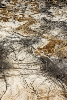 Zoooom Zooooom Color Awards Winners and Nominees