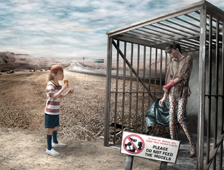 Don't feed the models Color Awards Winners and Nominees