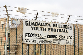 Guadalupe Bulldogs Color Awards Winners and Nominees