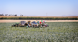 Migrant Workers Color Awards Winners and Nominees